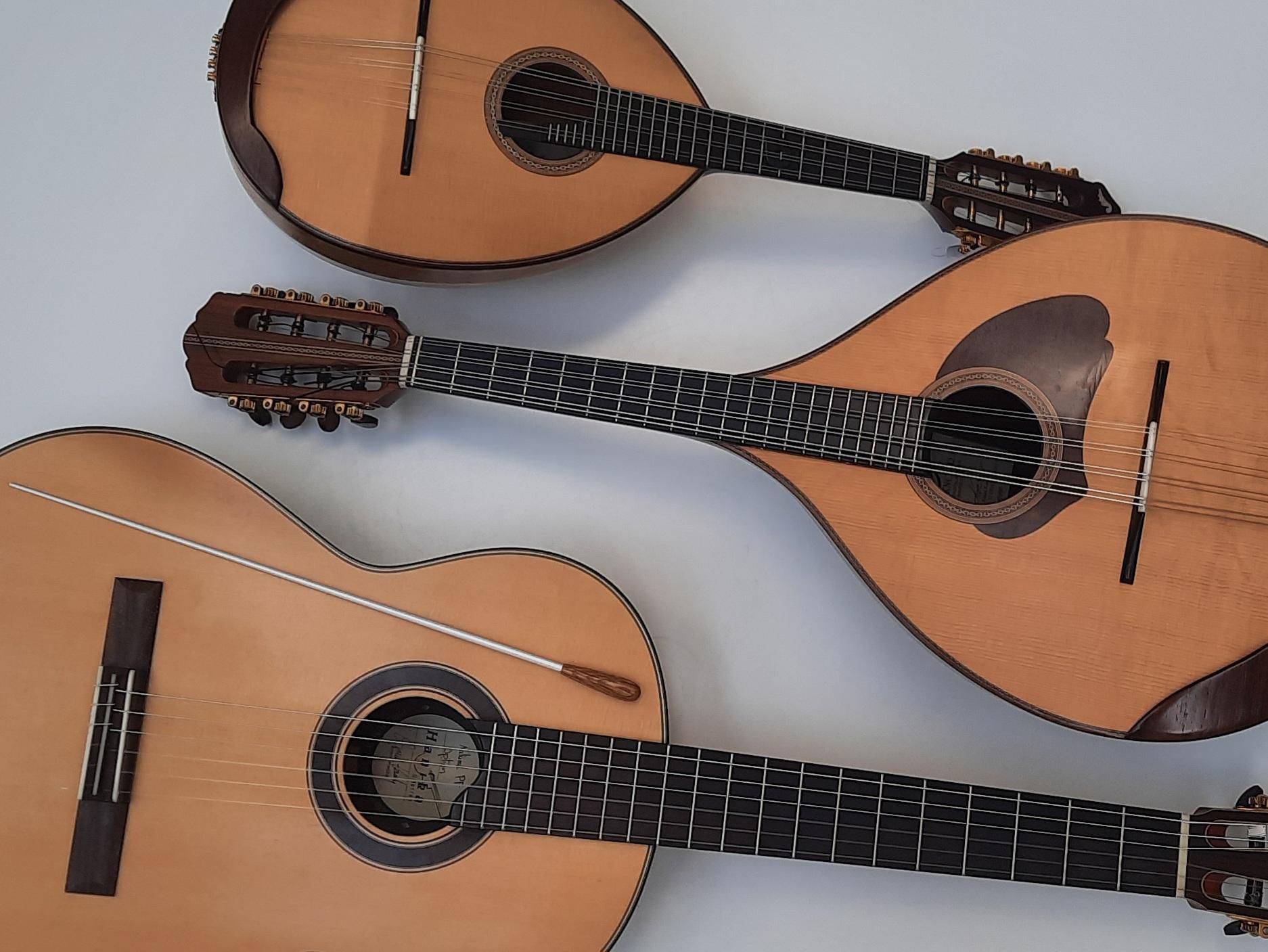 Münchner Mandolinenzirkel bei der AMMERSEErenade